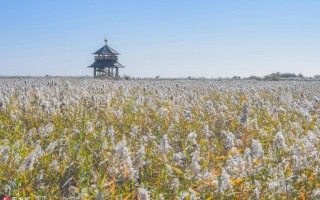 在海口没有大雁出行（海口大雁出行客服电话）