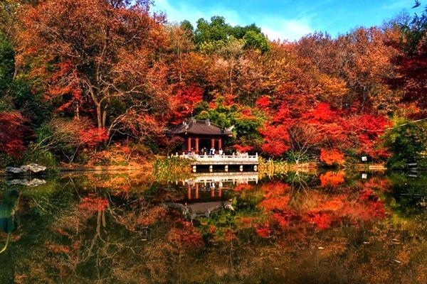 固城湖旅游攻略（固城湖旅游攻略自驾游）