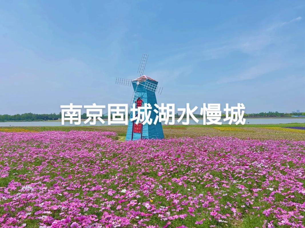 固城湖旅游攻略（固城湖旅游攻略自驾游）