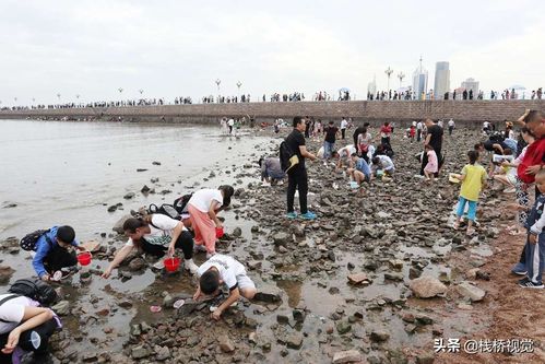 青岛去霞浦滩涂旅游路线（青岛到霞浦火车时刻表）