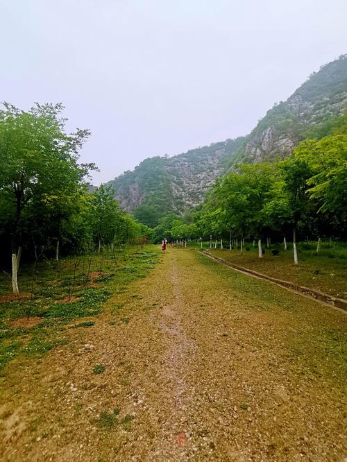 幕阜山旅游攻略（幕阜山介绍）