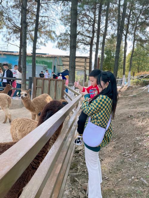 马鞍山旅游攻略（马鞍山旅游攻略必去景点）