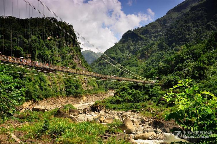 阿里山旅游攻略（阿里山旅游攻略图）