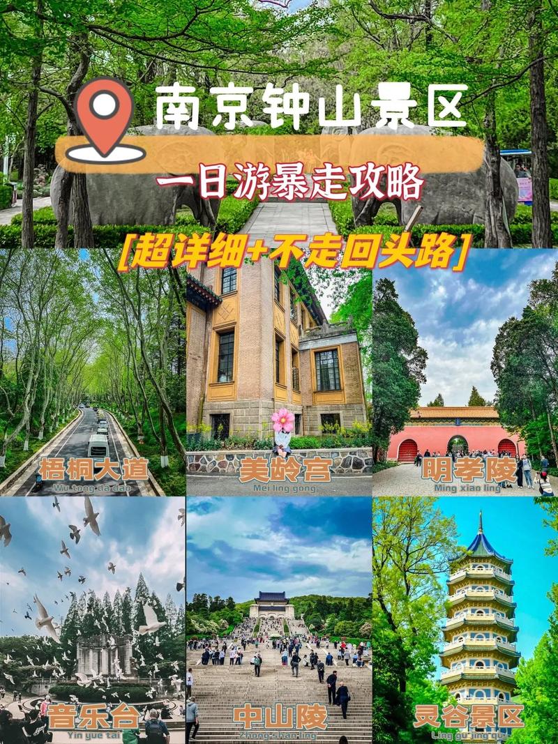 南京旅游攻略一日游路线（南京旅游攻略一日游路线推荐）