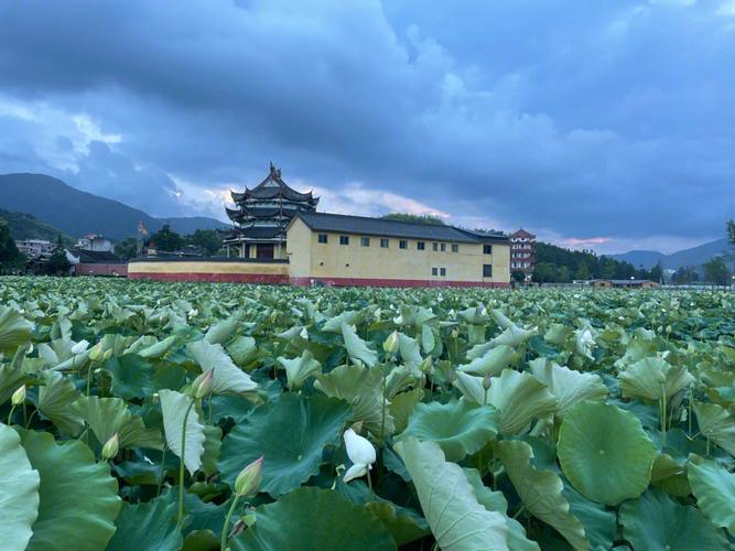 周宁旅游推荐（周宁旅游功略）