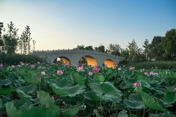 上秦淮湿地公园旅游路线（上秦淮湿地公园最新进展）