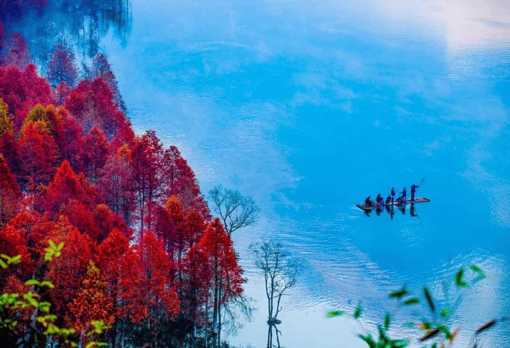 十一月旅游推荐（十一月旅游推荐的地方）