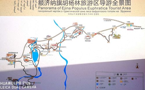 银川到瑞士旅游攻略路线（银川到瑞丽怎么走）