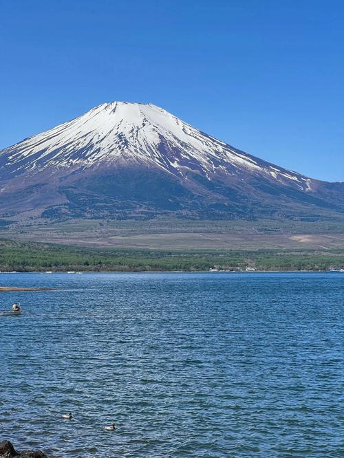 富士山旅游攻略（富士山旅游攻略路线）