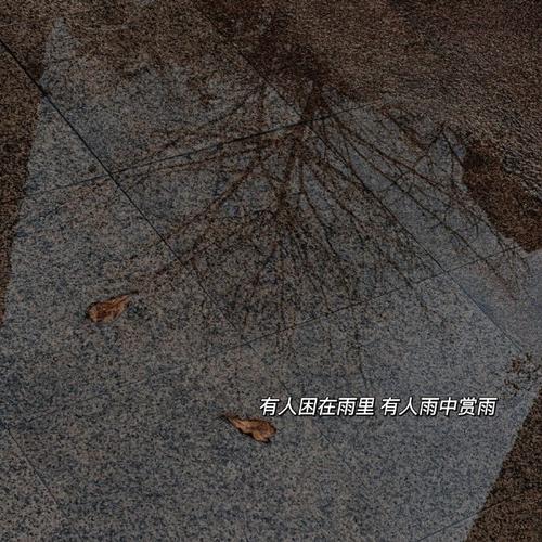 雨天和家人出行文案（雨天和家人游玩的心情说说）