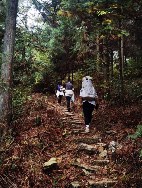 括苍山旅游攻略（括苍山旅游攻略路线）