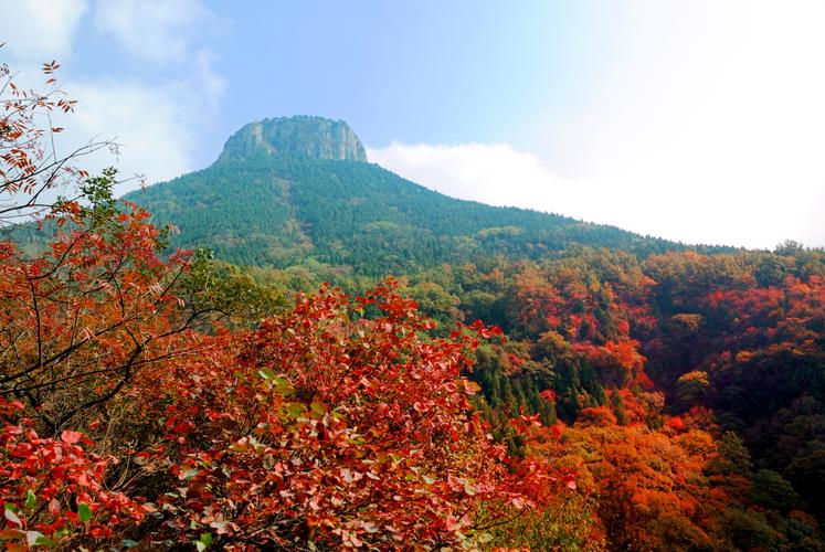 郑州自驾去山东旅游路线（郑州自驾去山东旅游路线攻略）