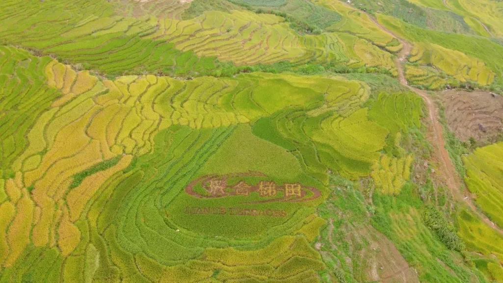 泰宁大源村旅游攻略路线（泰宁大源古村游记）