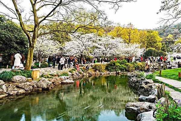 浙江清明节出行好吗（今天清明节浙江哪里旅游）