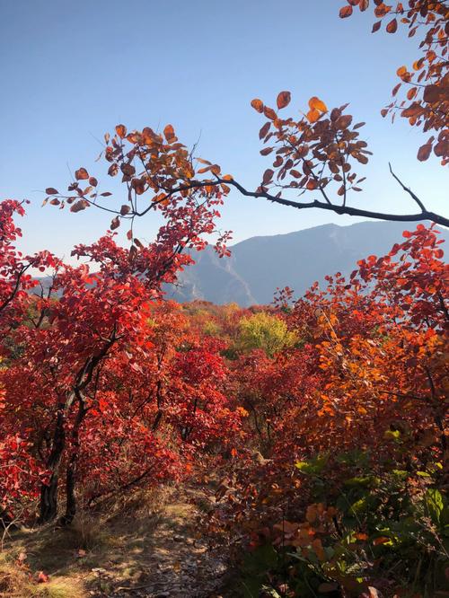 坡峰岭旅游攻略（坡峰岭旅游攻略住宿）