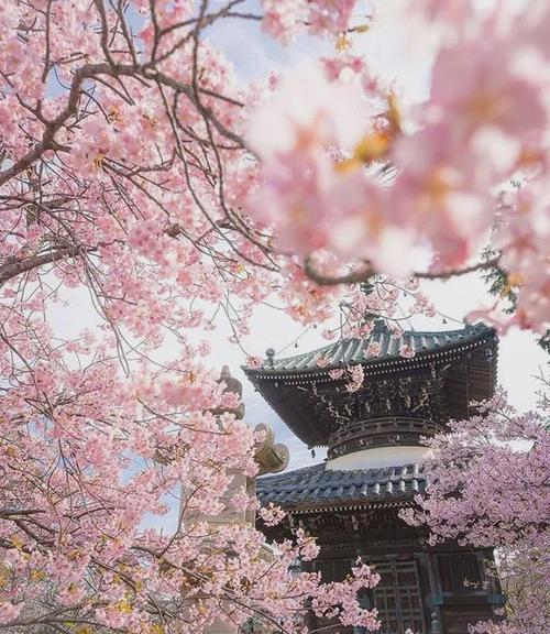 京都旅游推荐（京都景点推荐）