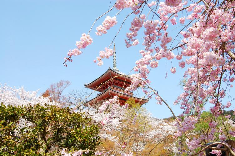 京都旅游推荐（京都景点推荐）